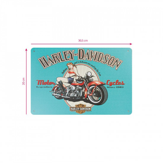 Dekoračná tabuľka Harley HD010 Dekoračná tabuľka Harley HD010