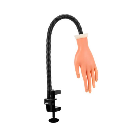 Ruka na učenie a precvičovanie manikúry 35 tipov Ruka na učenie a precvičovanie manikúry 35 tipov